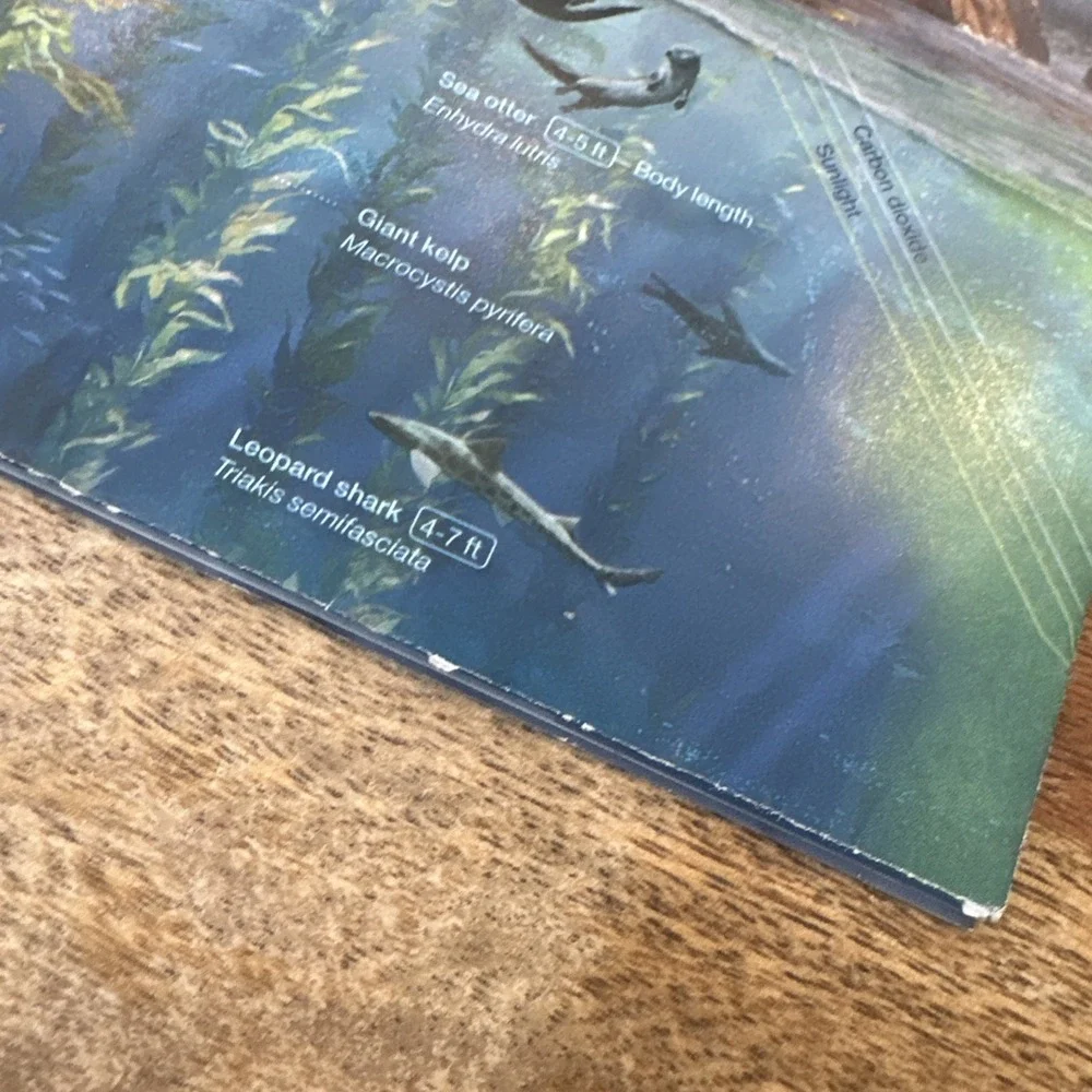 National Geographic Magazine Supplemental Poster - A Changing Pacific Coast 2016